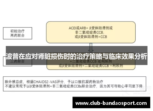 波普在应对肾脏损伤时的治疗策略与临床效果分析