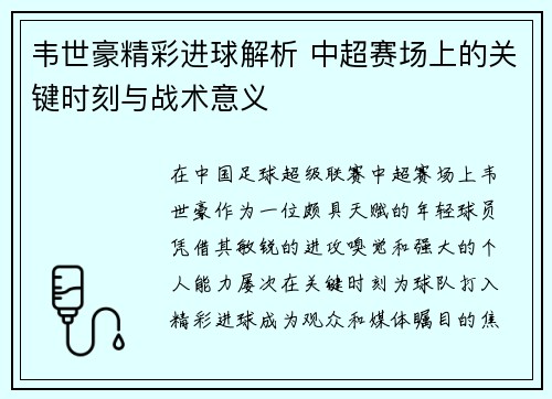 韦世豪精彩进球解析 中超赛场上的关键时刻与战术意义