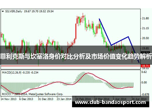 菲利克斯与坎塞洛身价对比分析及市场价值变化趋势解析