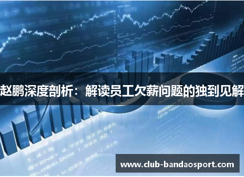 赵鹏深度剖析:解读员工欠薪问题的独到见解 赵鹏深度剖析:解读员工欠薪问题的独到见解